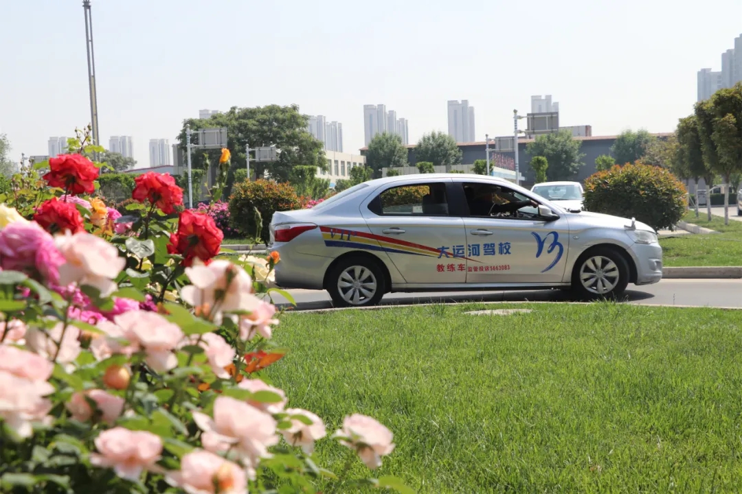 【济宁大运河驾校】“初夏”小美好，五月学车正当时~(图2)