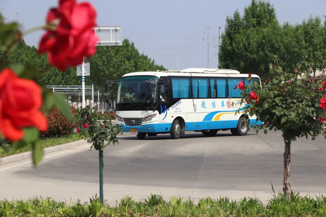 【济宁大运河驾校】“初夏”小美好，五月学车正当时~(图7)