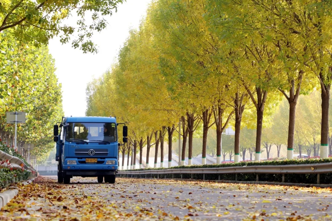 赏校园秋日盛景,享大车班型升级福利——学车就现在!(图3) 赏校园秋日盛景,享大车班型升级福利——学车就现在!(图3)