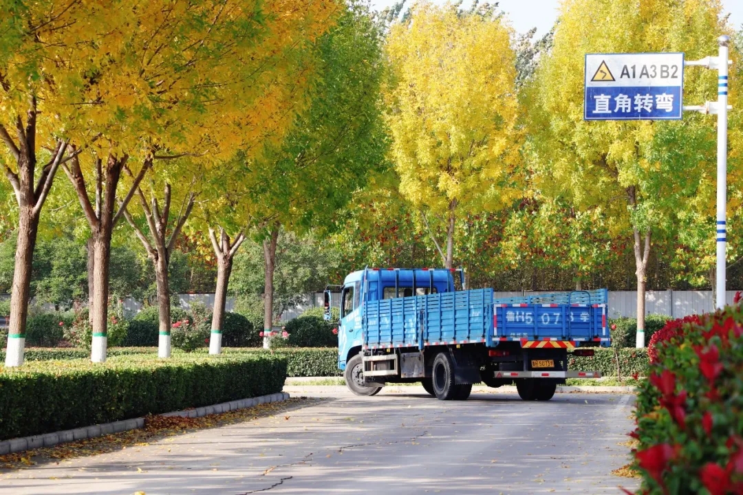 赏校园秋日盛景,享大车班型升级福利——学车就现在!(图9) 赏校园秋日盛景,享大车班型升级福利——学车就现在!(图9)