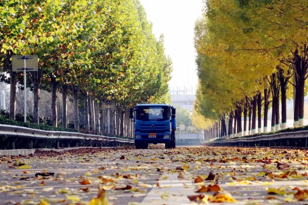 赏校园秋日盛景,享大车班型升级福利——学车就现在!(图16) 赏校园秋日盛景,享大车班型升级福利——学车就现在!(图16)